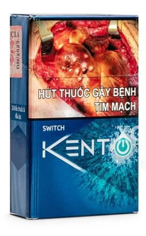 05f3818cdc98ffab8099634ee641297a-2 Vietnamese Kent Switch