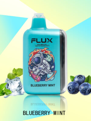 FLUX BLUEBERRY MINT 20000 PUFFS