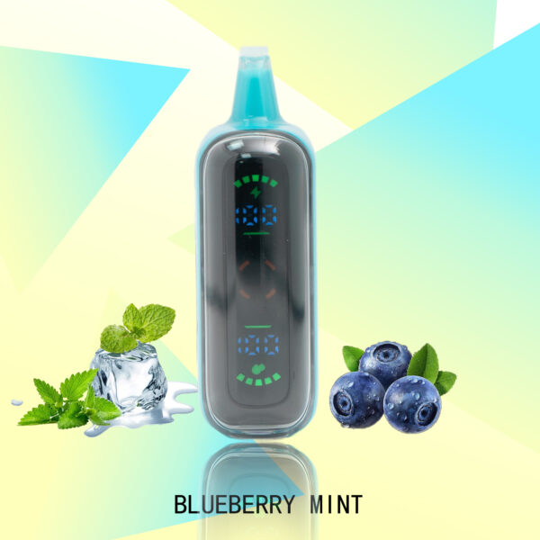 FLUX BLUEBERRY MINT 20000 PUFFS