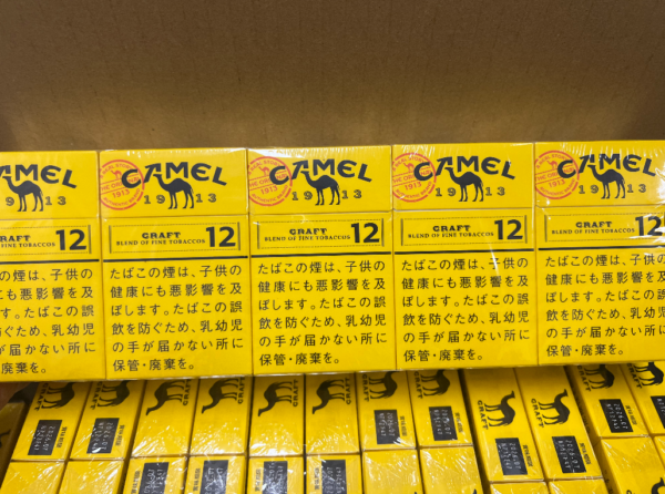 Camel Craft 12