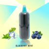 FLUX BLUEBERRY MINT 20000 PUFFS